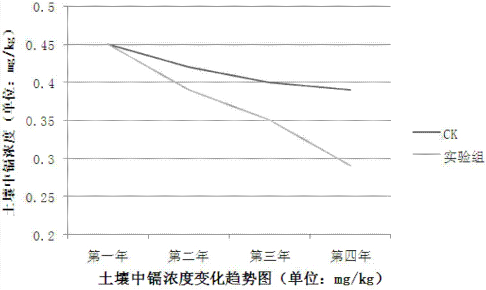 一种园林植物强化修复污染土壤的方法与流程