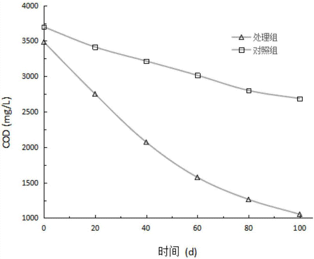 一种修复有机污染土壤的装置的制作方法