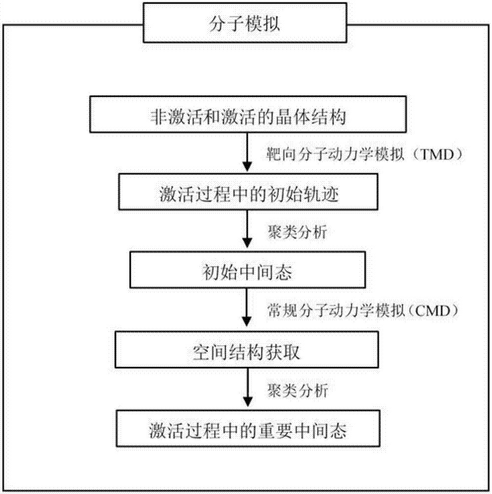 一种计算机模拟获取G蛋白偶联受体中间态结构的方法与流程