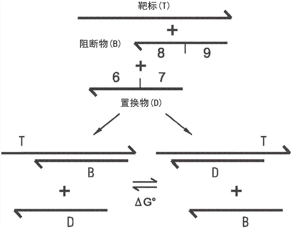 由辅助寡核苷酸物质对核酸杂交探针的化学计量调节的制作方法