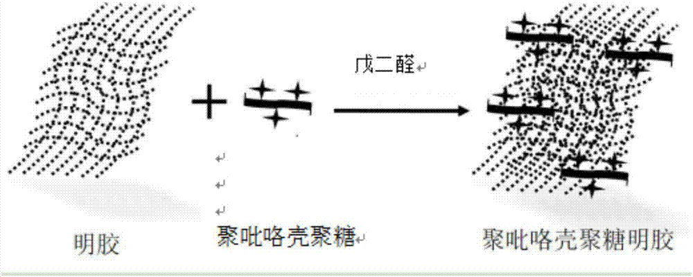 一种3D聚吡咯壳聚糖明胶复合电导材料及其制备方法与流程