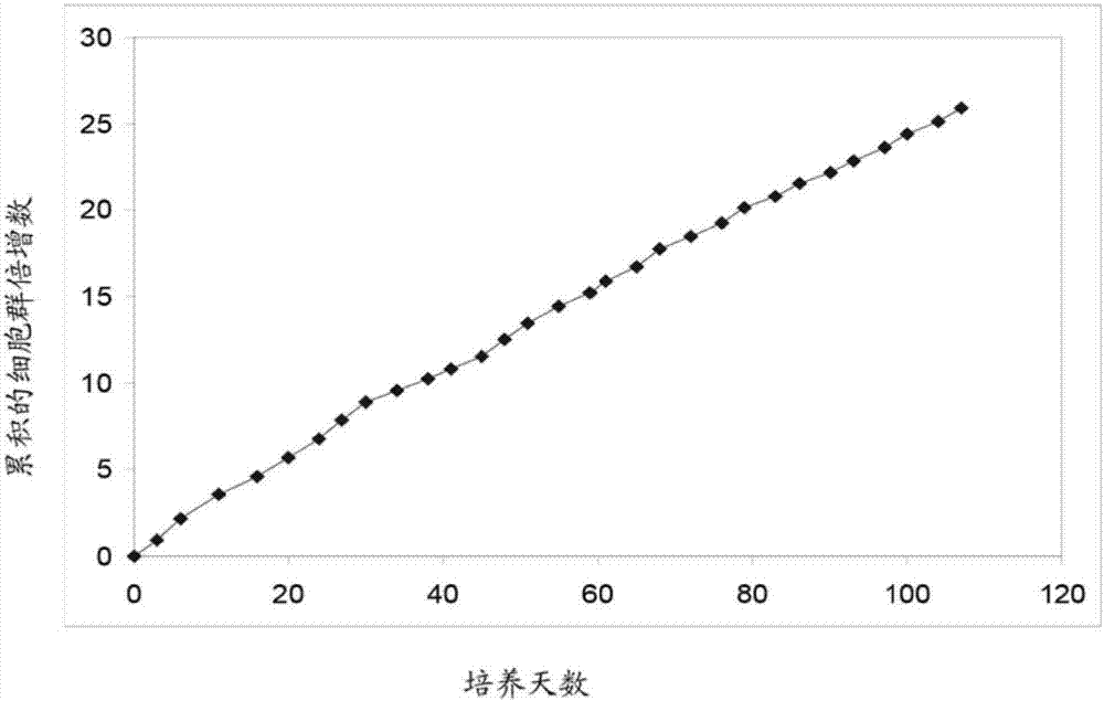 具有免疫调节活性的细胞群及其分离方法和用途与流程