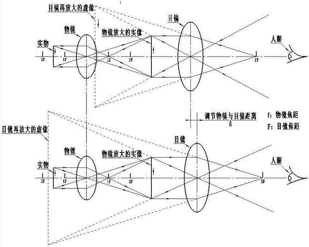 一种超声电机驱动的光学显微镜及其操作方法与流程