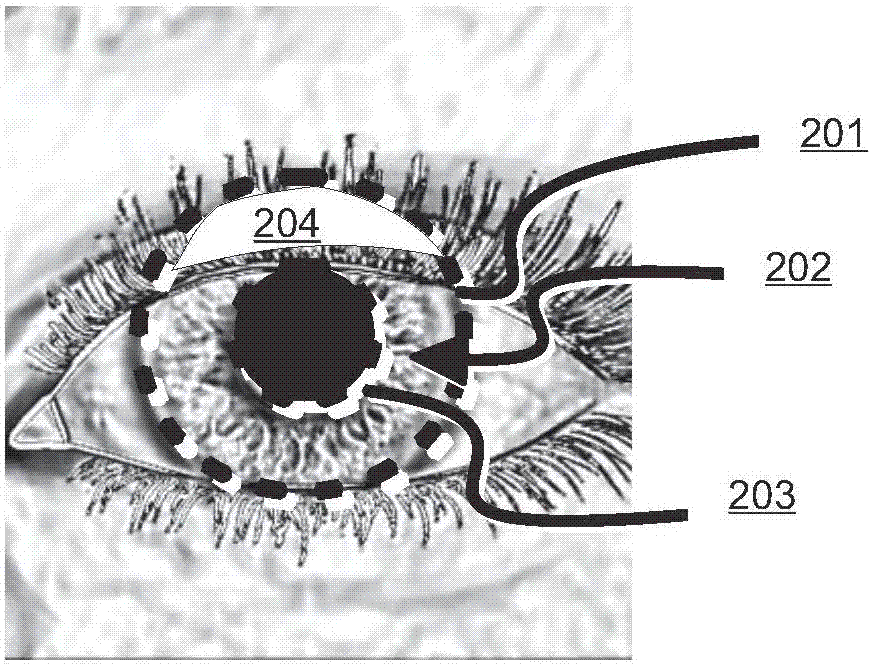 眼睛和面部视野对准引导装置的制作方法