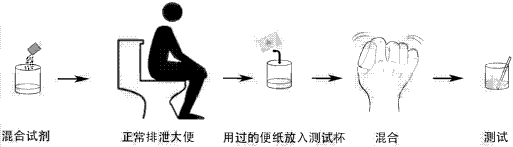 粪便样品处理,大便隐血检测方法及试剂盒与流程