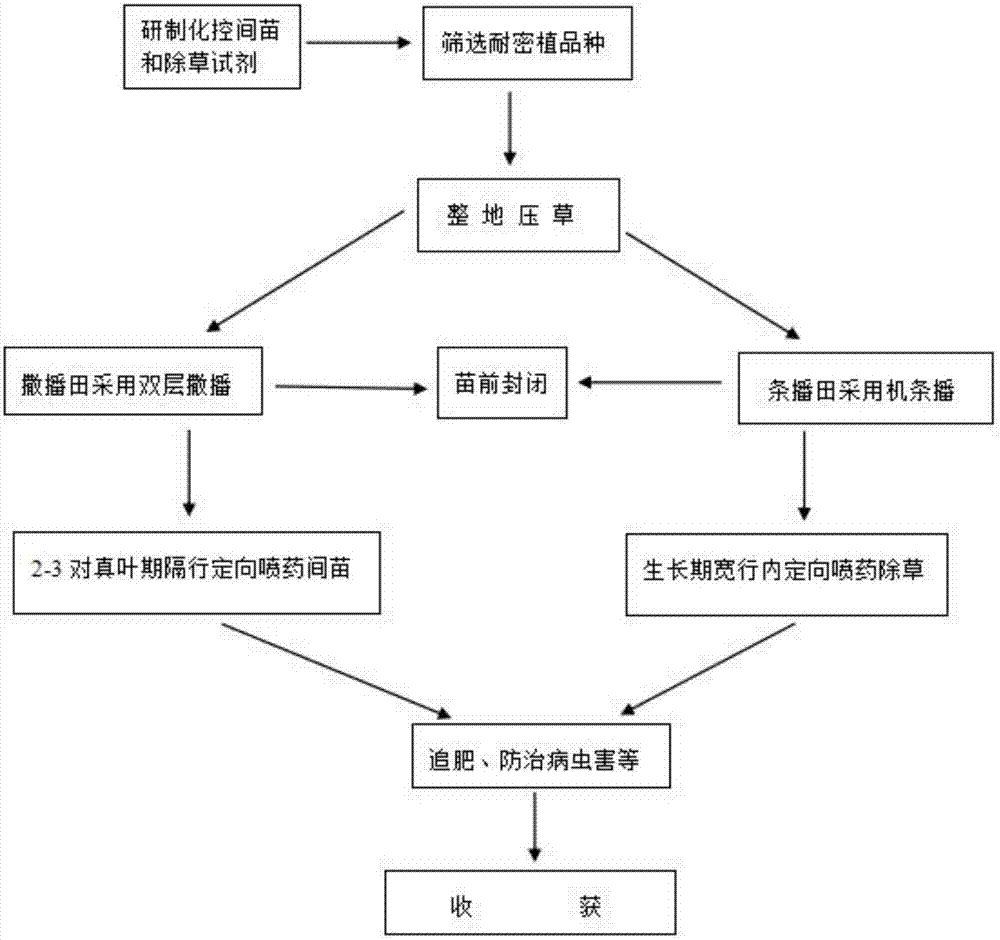 一种芝麻间苗剂及其在芝麻种植中的应用方法与流程