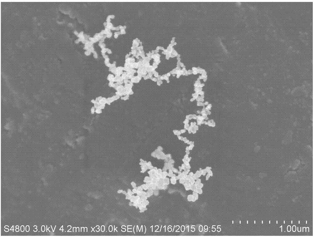 一种纯难溶性药物纳米粒（晶）的制备方法与应用与流程