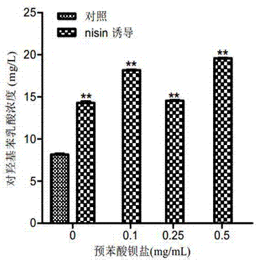 一株基因工程菌乳酸乳球菌及其应用的制作方法