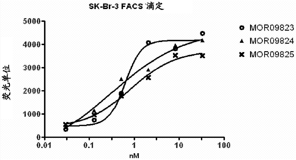 表皮生长因子受体3(HER3)的抗体的制作方法