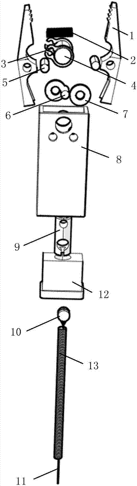 并且两个夹爪上部伸出部之间设有弹簧,弹簧两端分别固定在两个夹