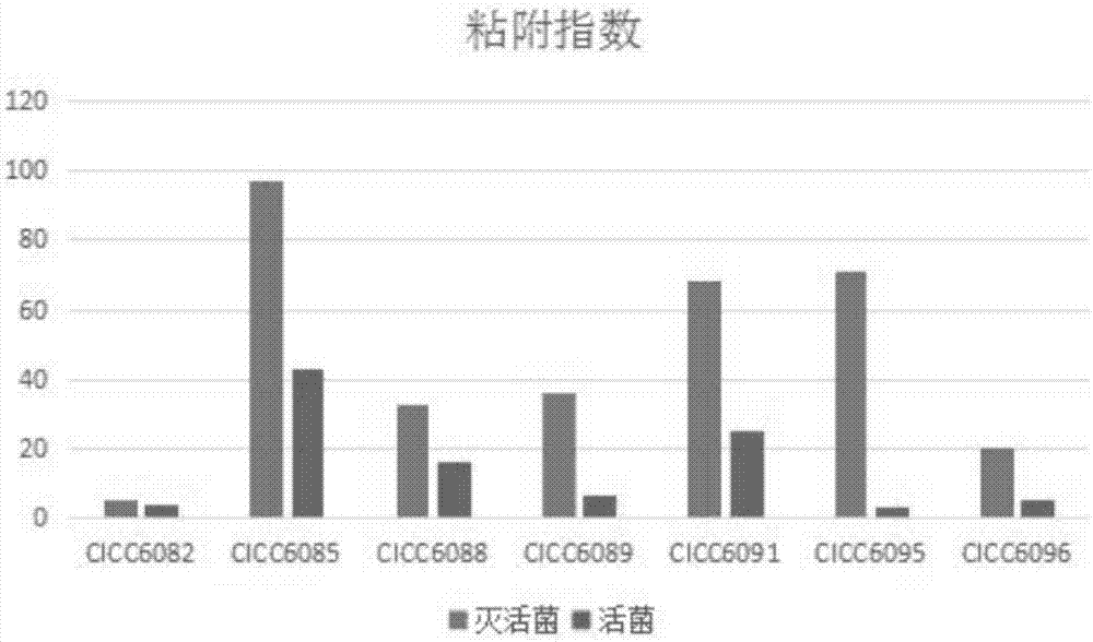 一种灭活益生菌制品、制备方法及其应用与流程