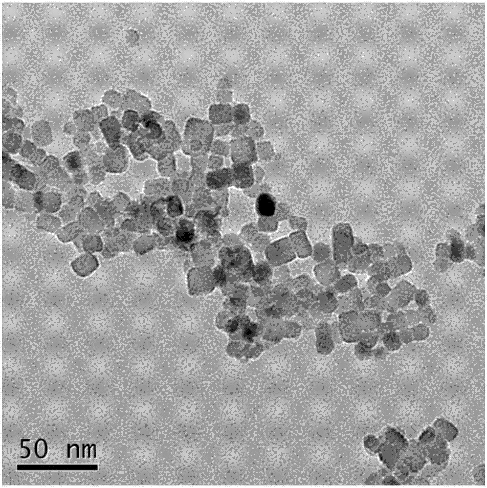 一种水溶性荧光氟化钙纳米颗粒的制备方法与流程