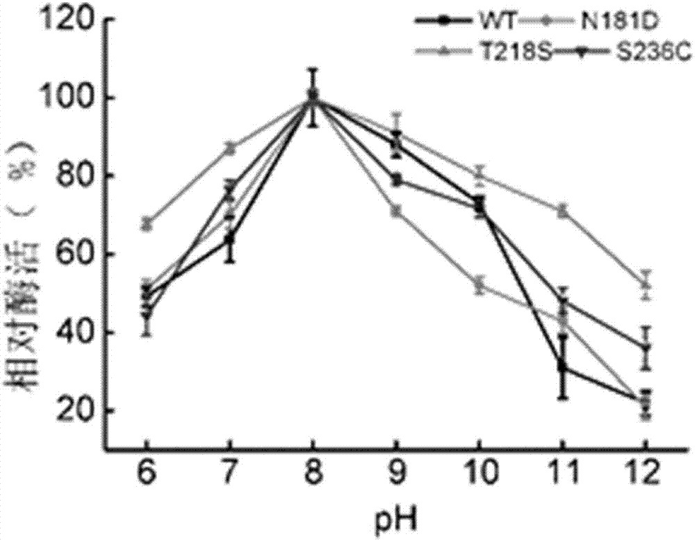 热稳定性提升的角蛋白酶突变体及其应用的制作方法