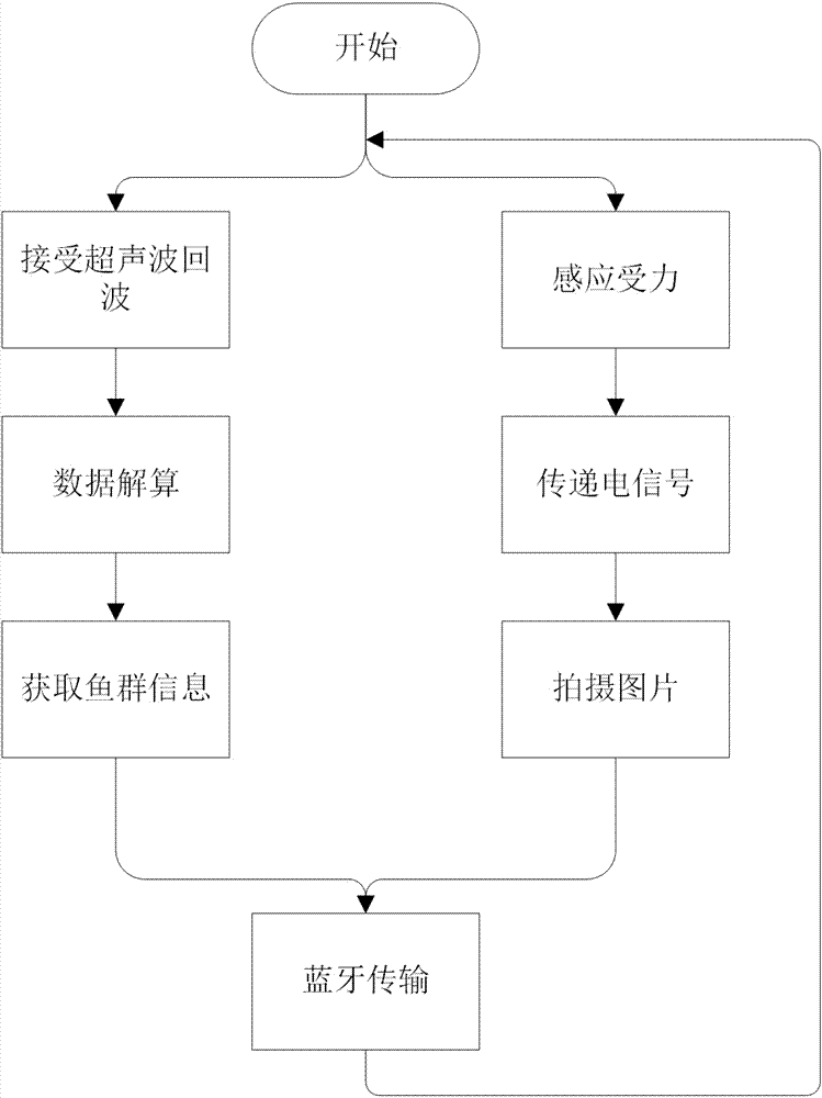 一种捕鱼咬钩抓拍装置及方法与流程