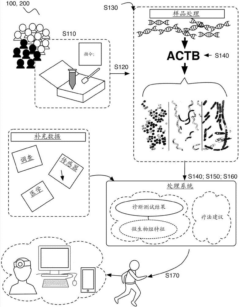 用于诊断测试的方法和系统与流程