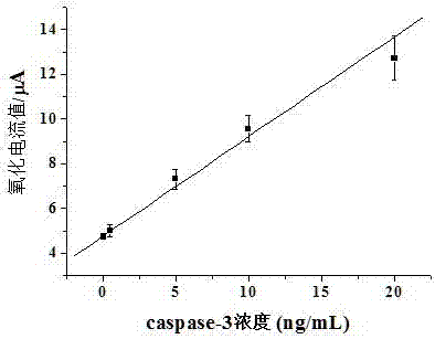 蛋白酶检测用电化学传感器及制备方法及检测方法与流程