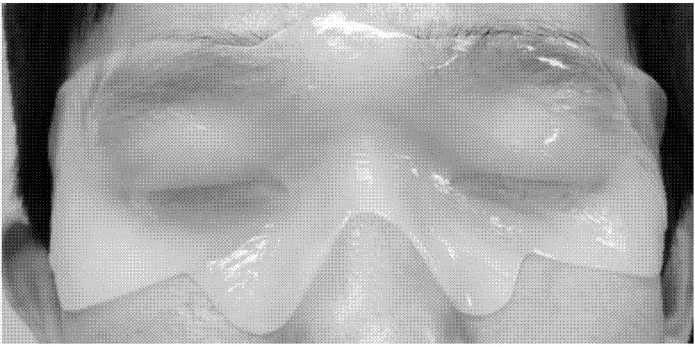 一种医用水凝胶护眼敷料的制作方法