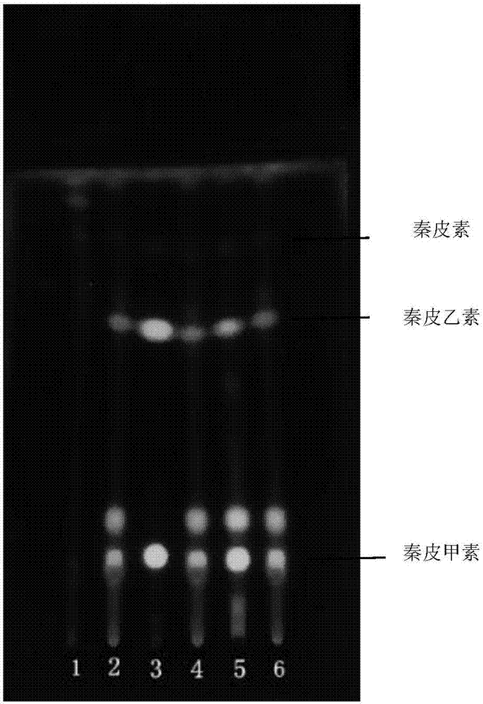 一种治疗痛风性关节炎的片剂的制备方法及检测方法与流程