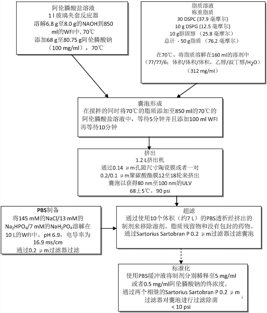 脂质体制剂及制造的制作方法