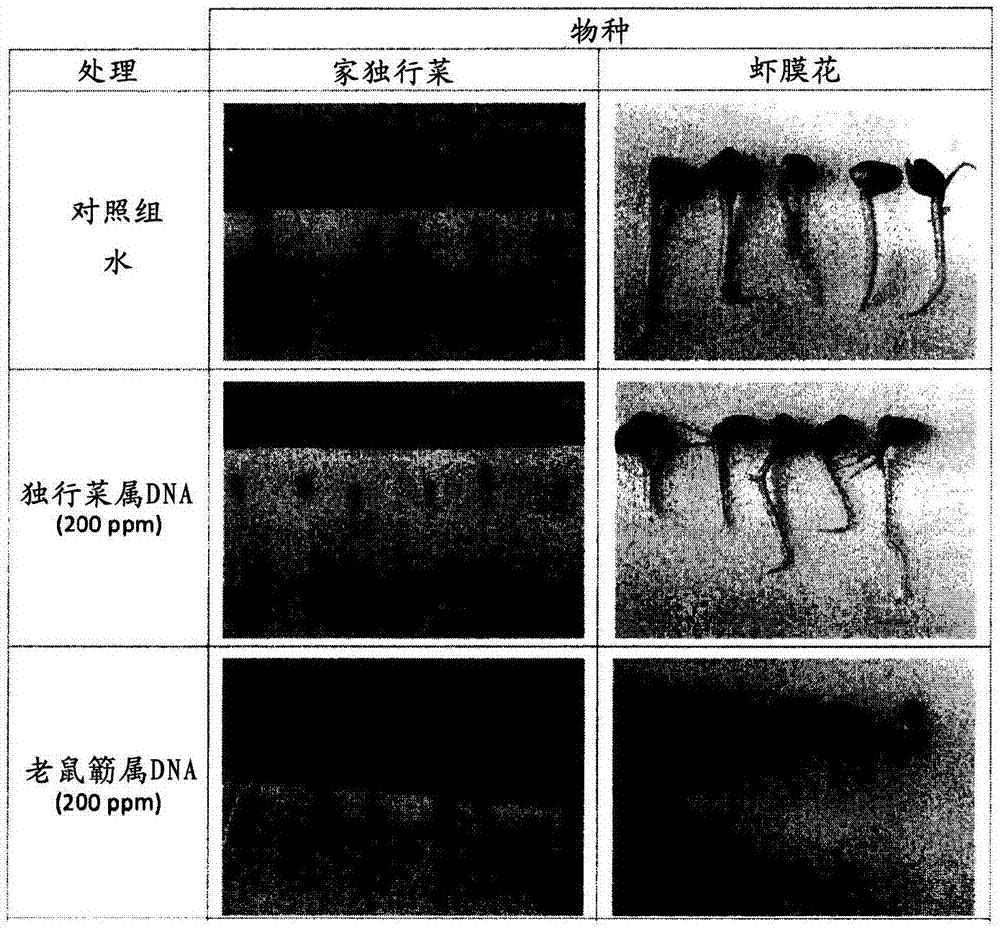 生长生物体的方法和系统与流程