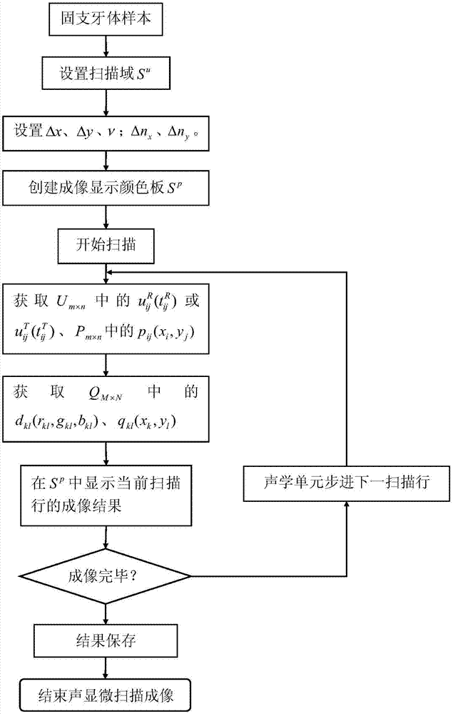 一种用于牙体的声显微成像方法与流程