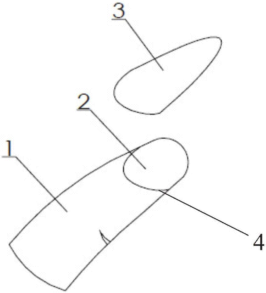 一种带指甲的娃娃的制作方法