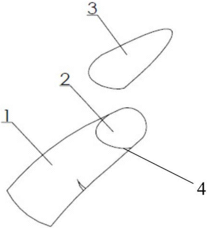 一种能替换塑胶片手指指甲的娃娃的制作方法