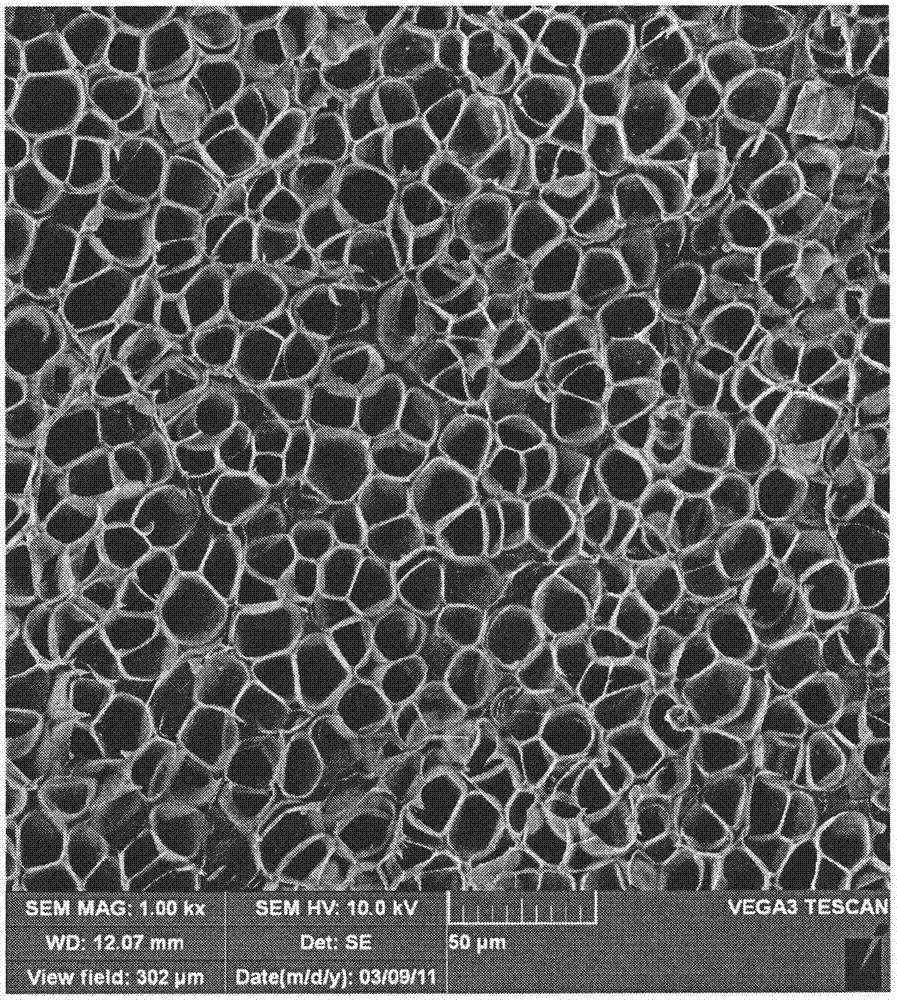 聚碳酸酯微孔发泡材料的制备方法与流程