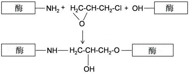 一种通过环氧交联包埋磁性纳米粒子固定酶的方法与流程