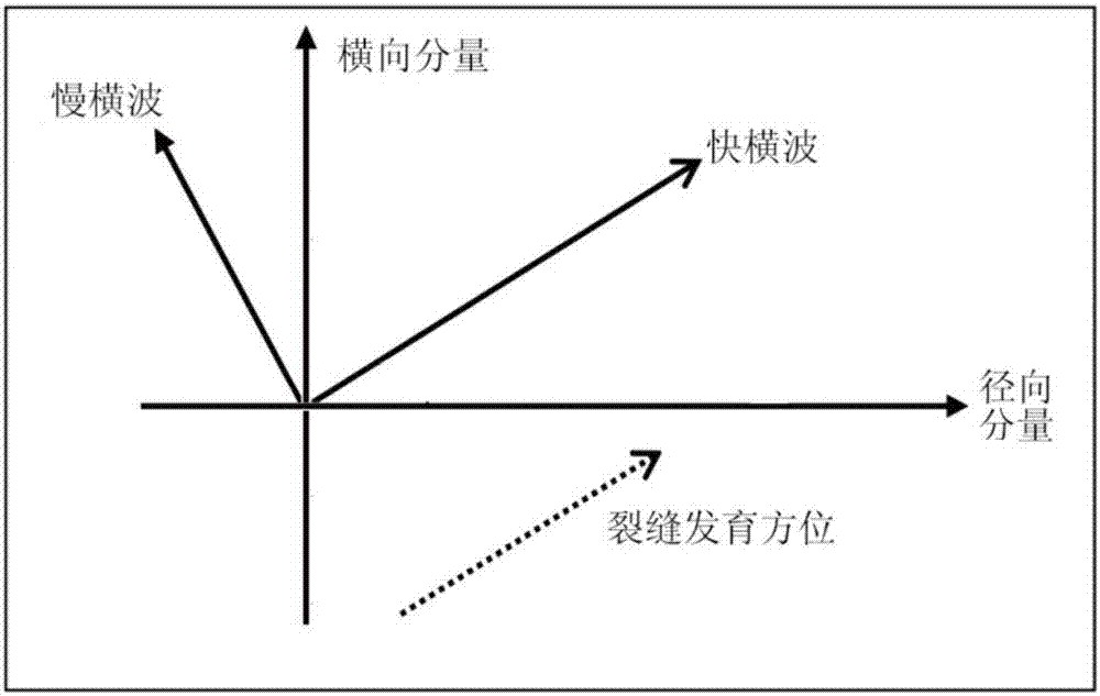 多分量转换波裂缝预测方法与流程