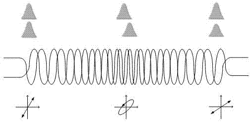 全保偏光纤的非线性偏振旋转锁模激光器的制作方法