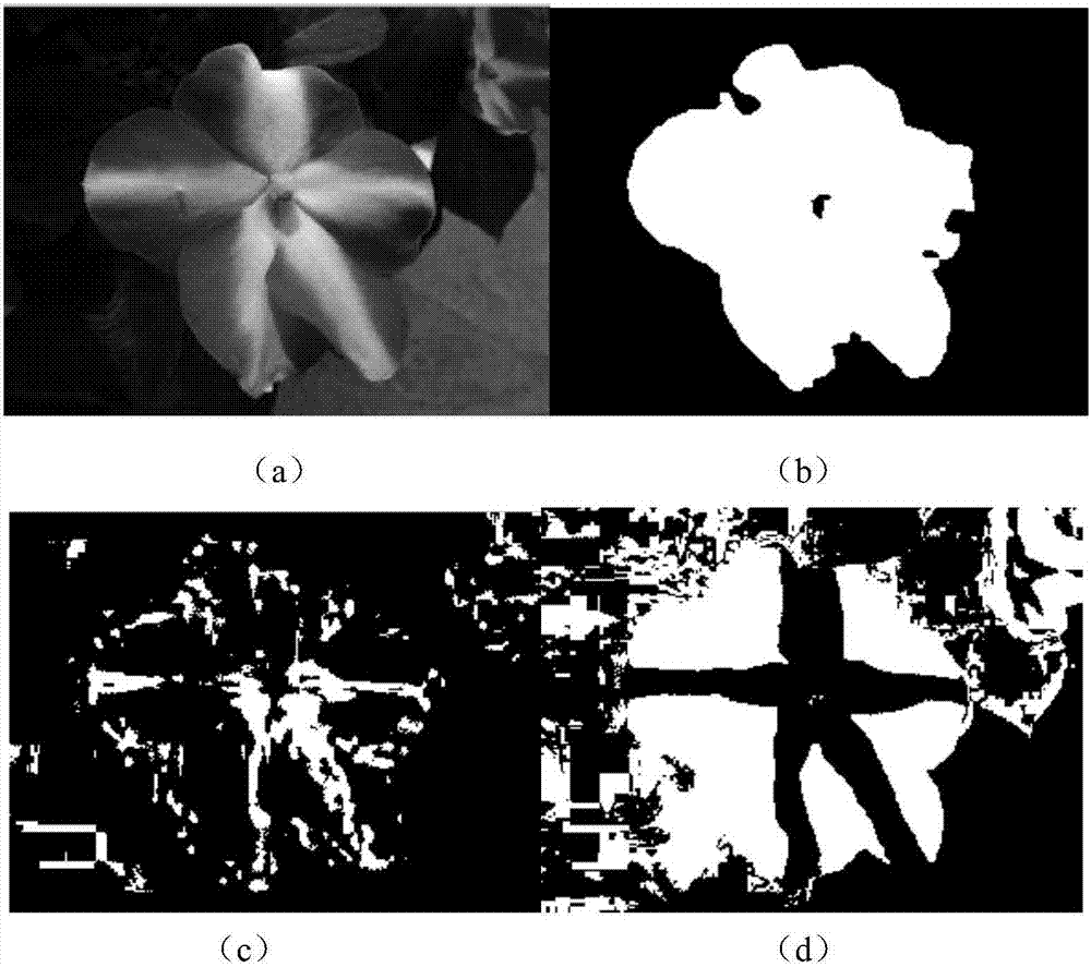 一种基于Otsu的花朵图像分割方法与流程