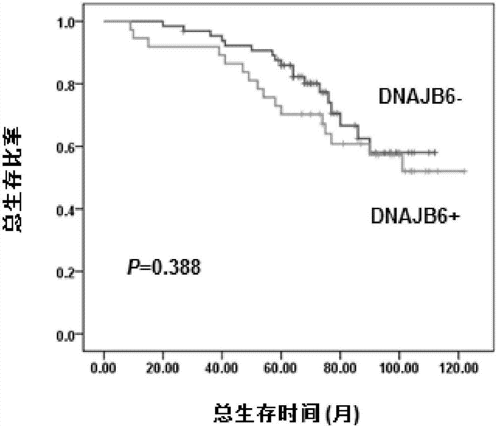 DNAJB6、Hsp70及Hsp90α的组合在Ⅱ期结肠癌预后判断中的应用的制作方法