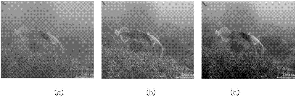 基于水下先验约束的图像复原方法与流程