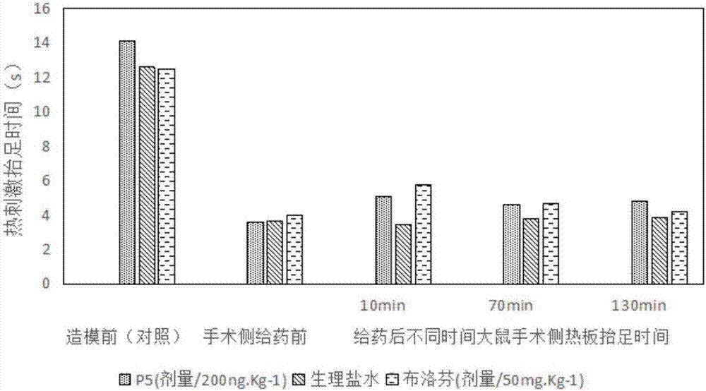 神经兴奋性损伤相关多肽在预防、缓解或治疗疼痛的用途的制作方法