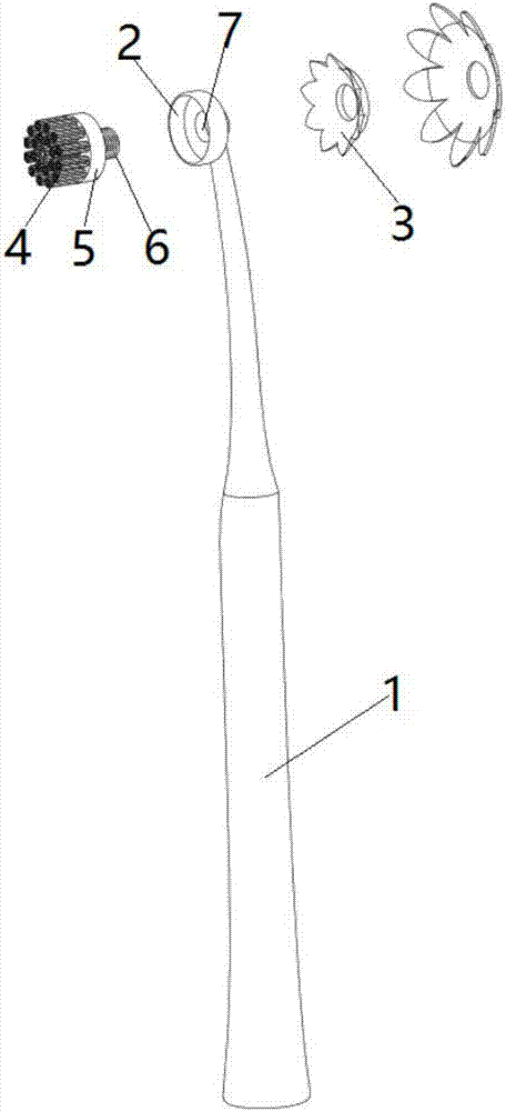 一种新型式样的组合式花型手动牙刷的制作方法