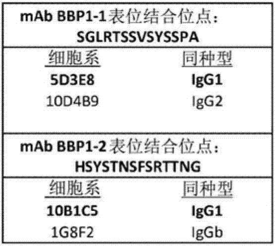 新型蛋白质及检测方法与流程