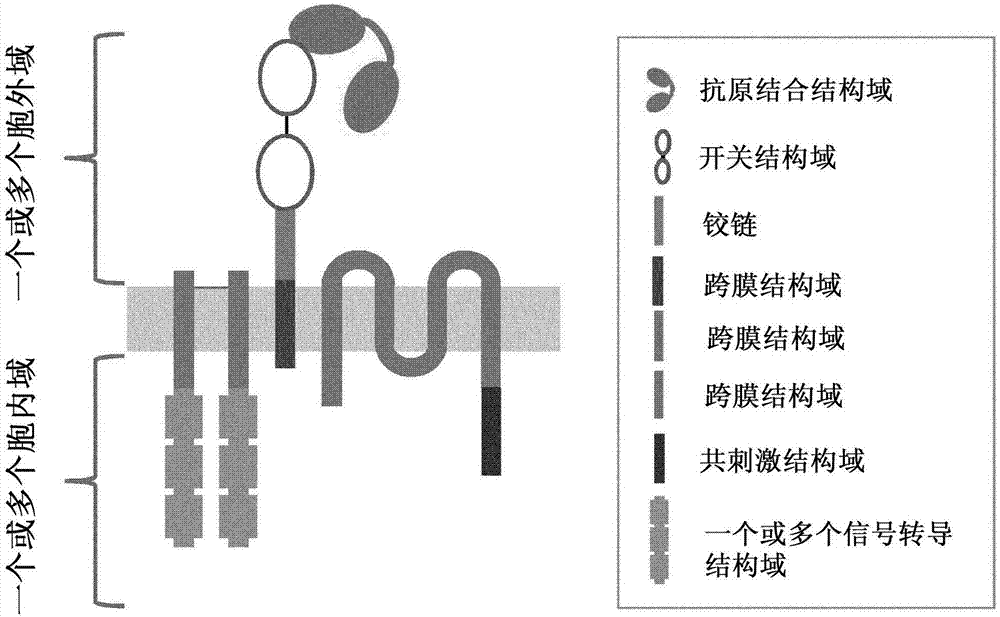 具有整合可控功能的嵌合抗原受体的制作方法