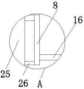 一种铁离子含量的化学检测装置的制作方法