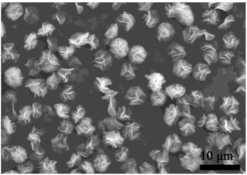 一种三维多孔花状结构钴/碳纳米复合电磁波吸收材料及其制备方法与流程