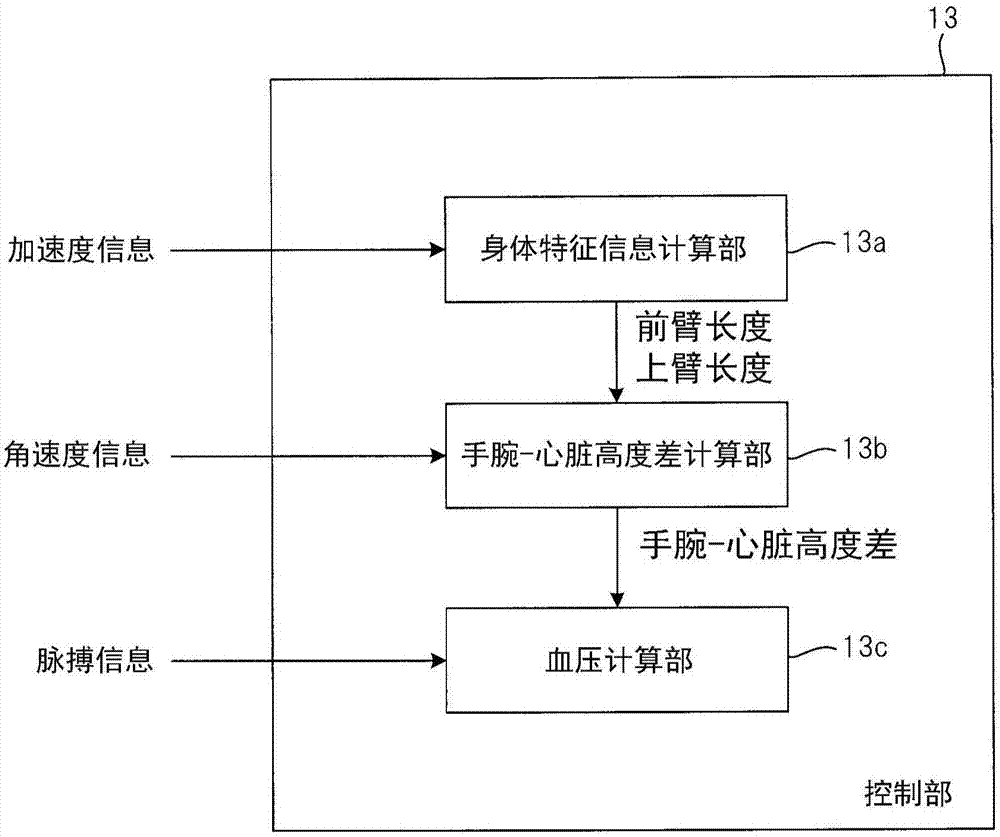 血压测量装置、身体特征信息计算方法、身体特征信息计算程序与流程