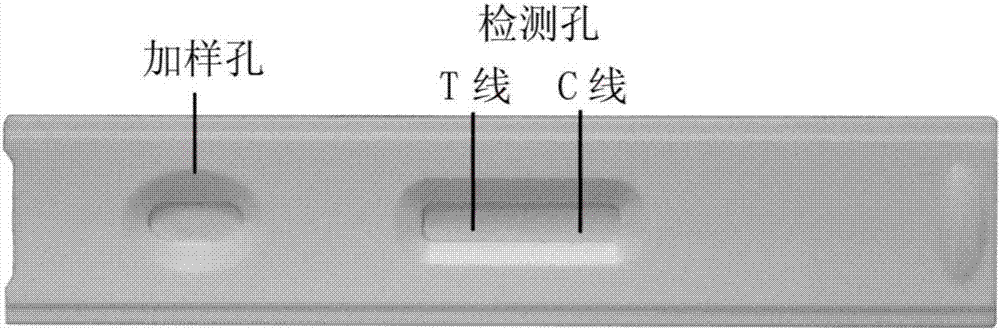 一种产气荚膜梭菌荧光免疫层析检测试剂盒及其应用的制作方法