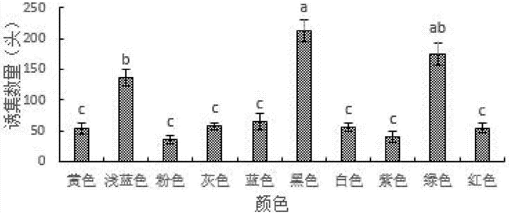 一种提高诱集果蝇效果的靶环式粘虫装置及其使用方法与流程
