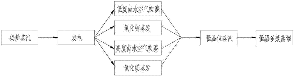 一种海水淡化及浓海水处理系统的制作方法