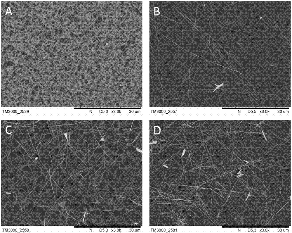 一种纳米银线-壳聚糖自组装导电薄膜涂层的制备方法与流程