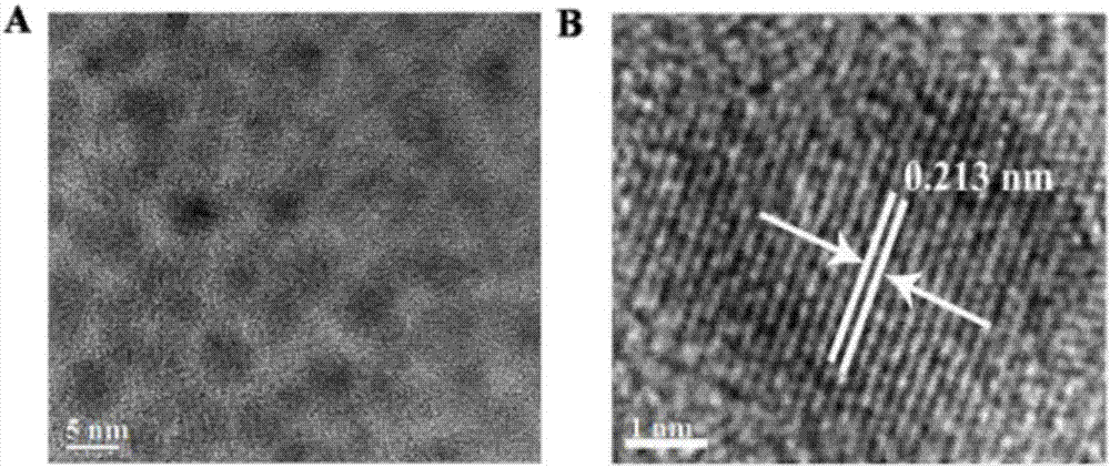 一种双稀土掺杂碳点磁共振/CT/荧光多模态成像探针及其制备方法与流程