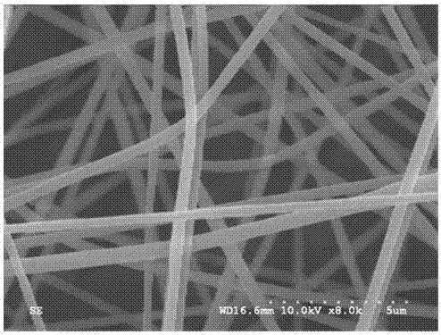 一种复合纳米纤维及其制备方法与流程