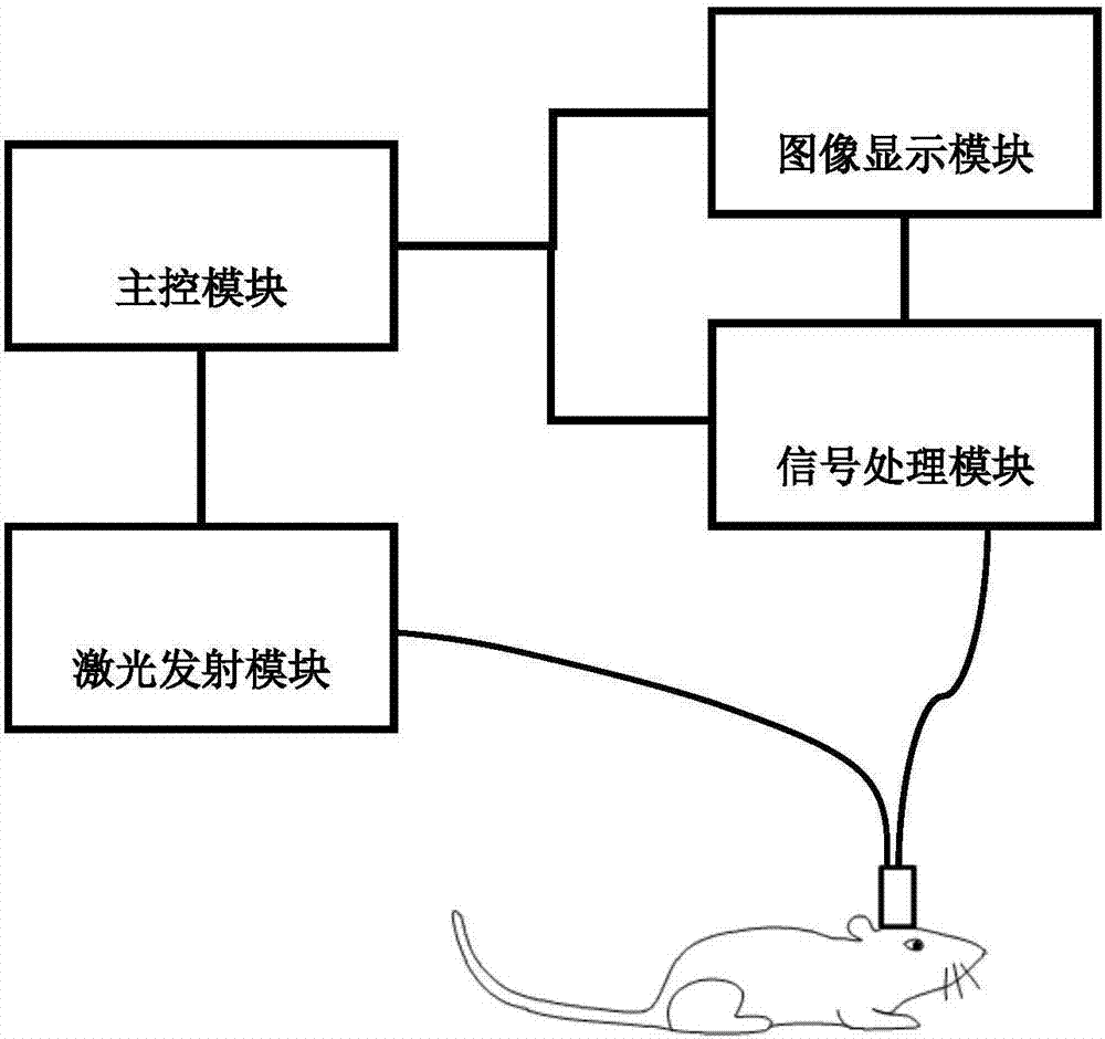 一种头戴式的微型光片显微镜的制作方法