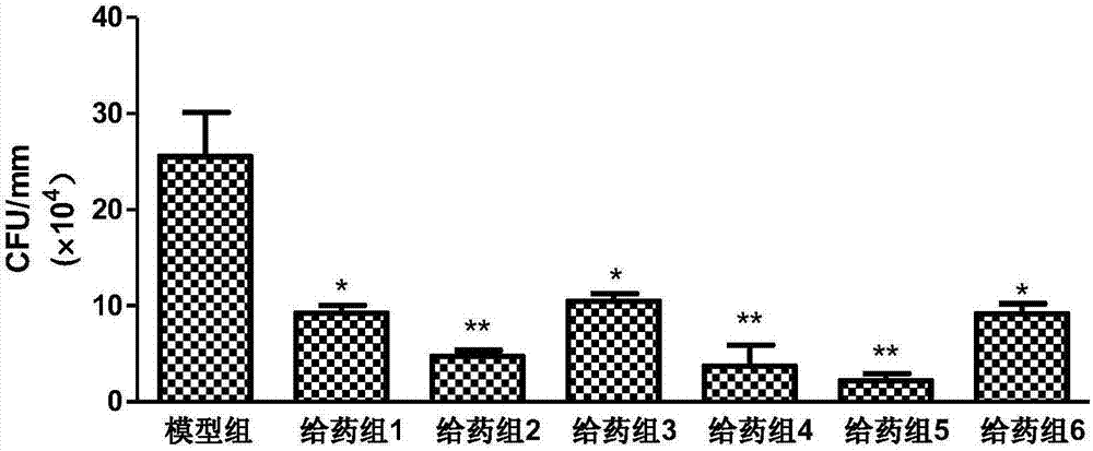 一种益生菌组合物、制剂、菌泥和用途的制作方法