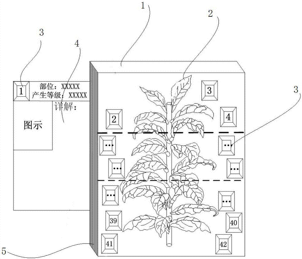 一种指导现场烟叶分级的示意装置的制作方法